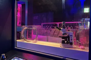 Microsoftteams Image (88)