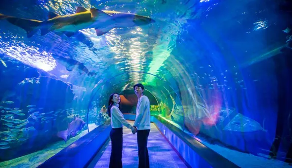 Tunnel - SEALIFE Busan