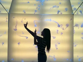 해파리존2