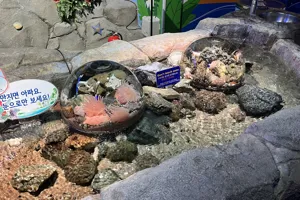 Rockpool2