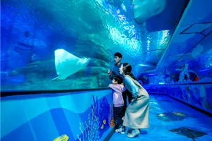 Ray Tunnel - SEALIFE Busan
