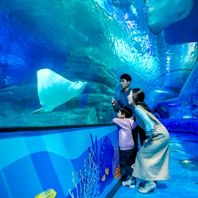 Ray Tunnel - SEALIFE Busan