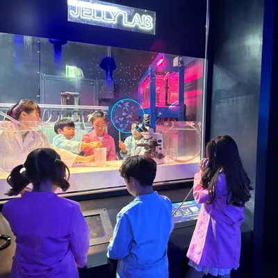 해파리1