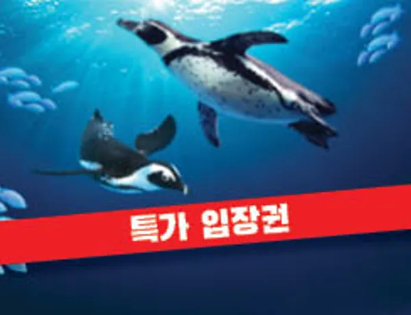 Online Ticket Special Price