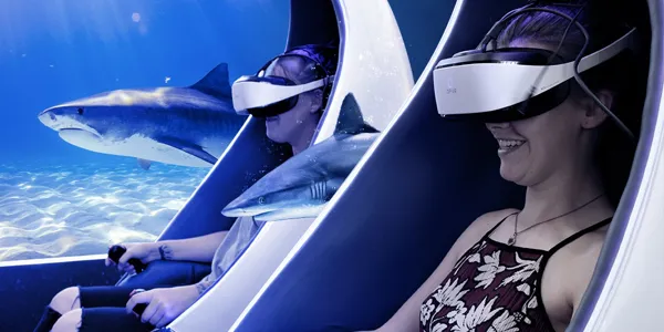 VR