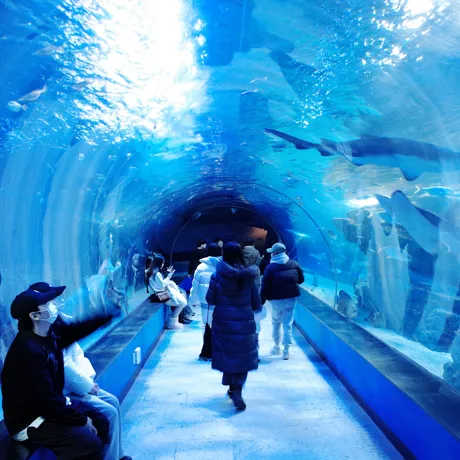 부산아쿠아리움 해저터널 배포용