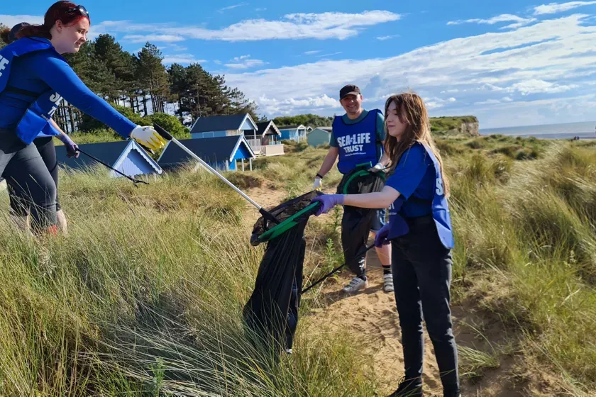 Hustanton Beach Clean 03 (1)
