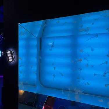 Microsoftteams Image (87)