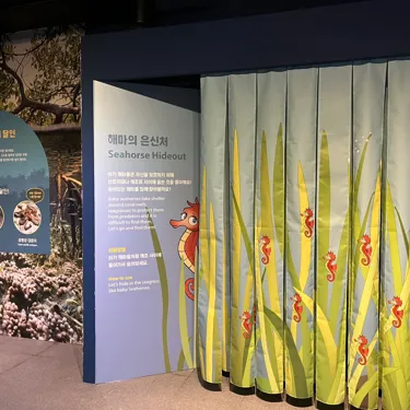 씨라이프 부산 해마의 은신처