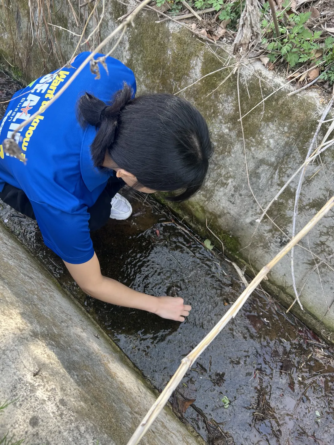 Rescuing Eggs From Drainage Channels1