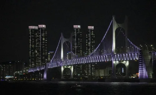Celebrate Christmas in Busan: Must-visit attractions this winter!