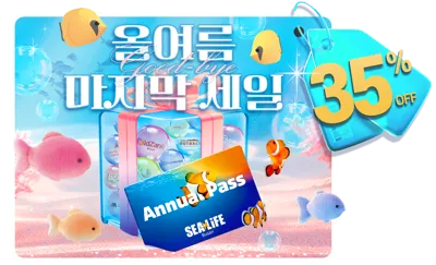 연간회원 하반기 팝업 배너