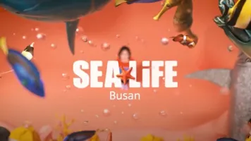 패션존 Youyube