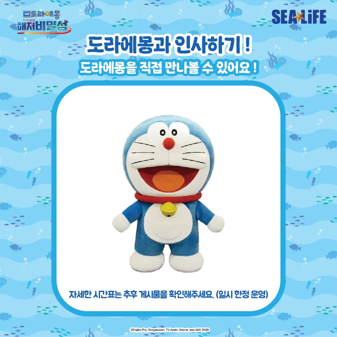 artboard-6300.png?format=webp&quality=80&width=800&height=800