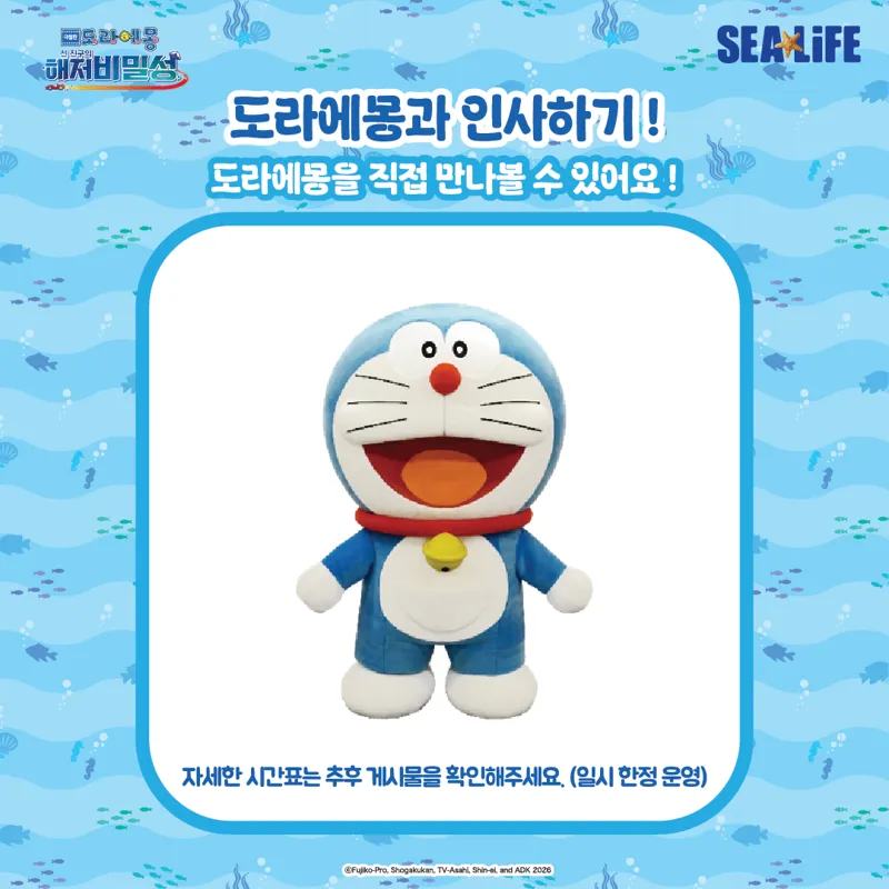 artboard-6300.png?format=webp&quality=80&width=800&height=800
