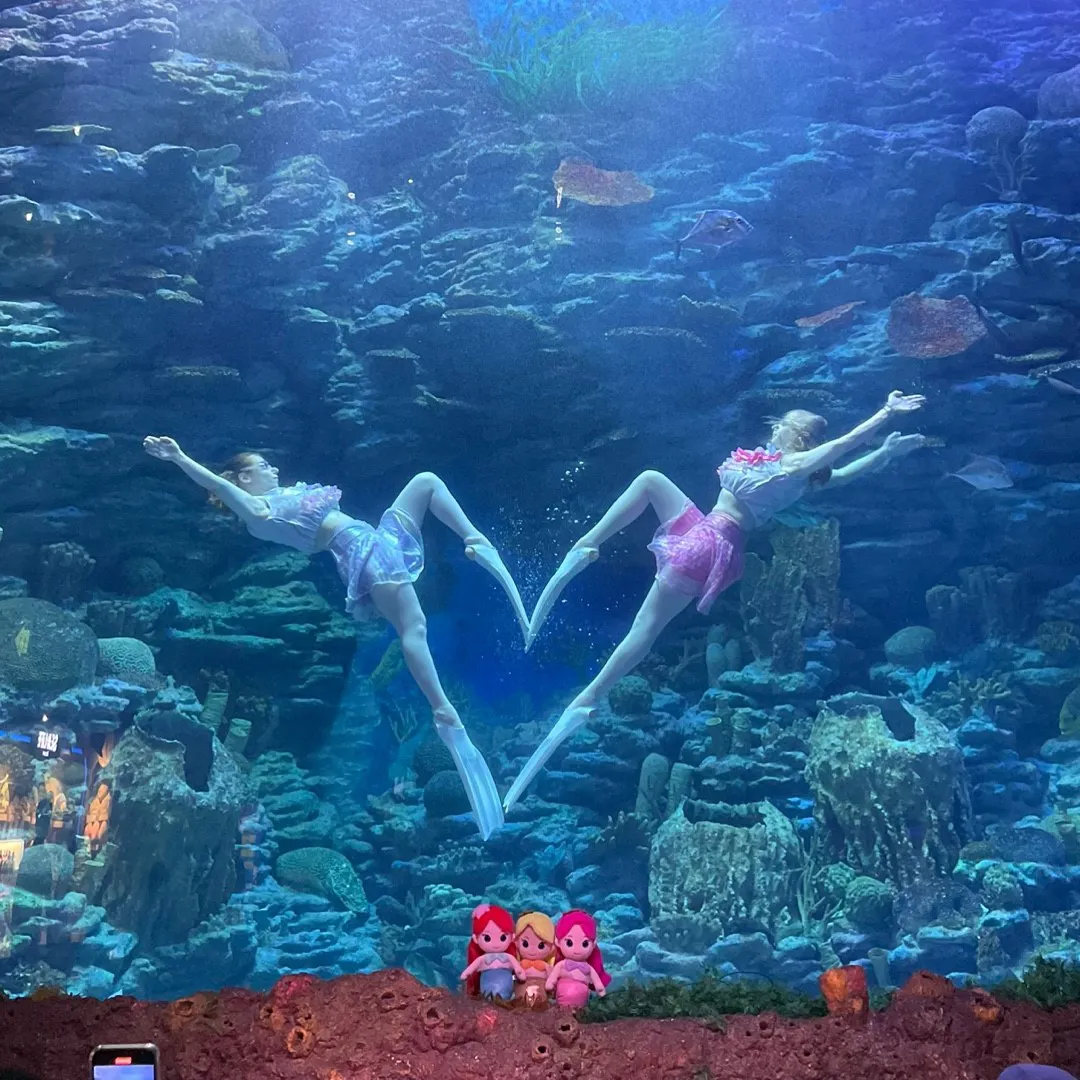 인어공주공연(하트) (1)