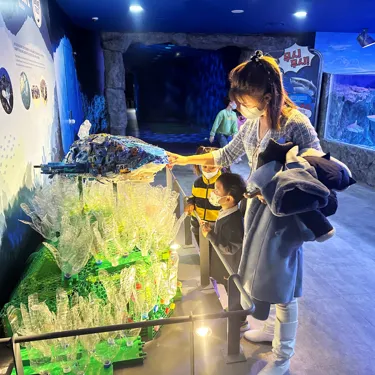부산 아쿠아리움 상어 탐험존 런칭 7