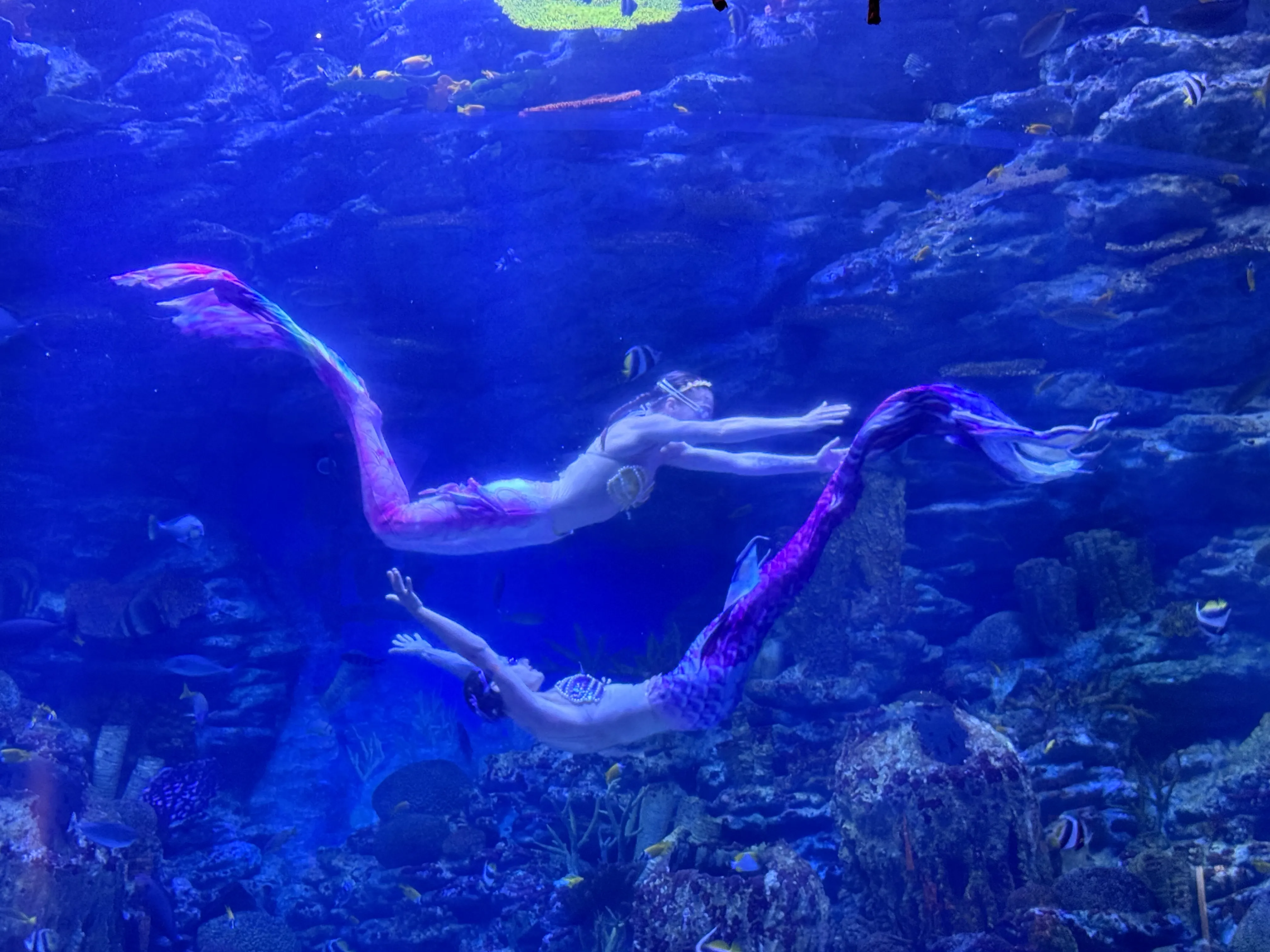 Kakaotalk 20260810 153608756 15