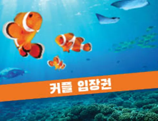 Online Ticket 2인 커플권