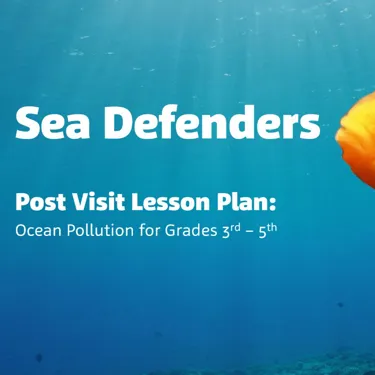 sea defenders post