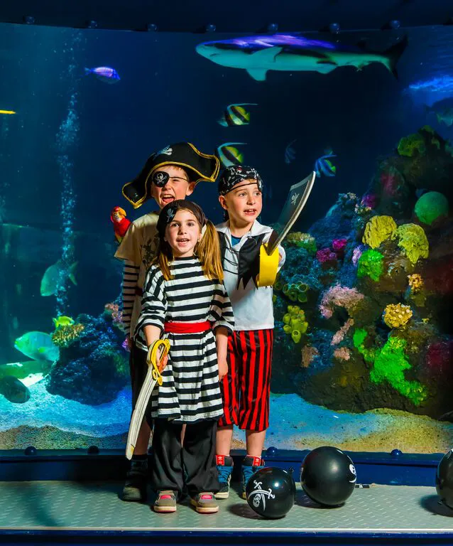 Medium 8309 Photoshoot TDF Tank Pirates Child 9