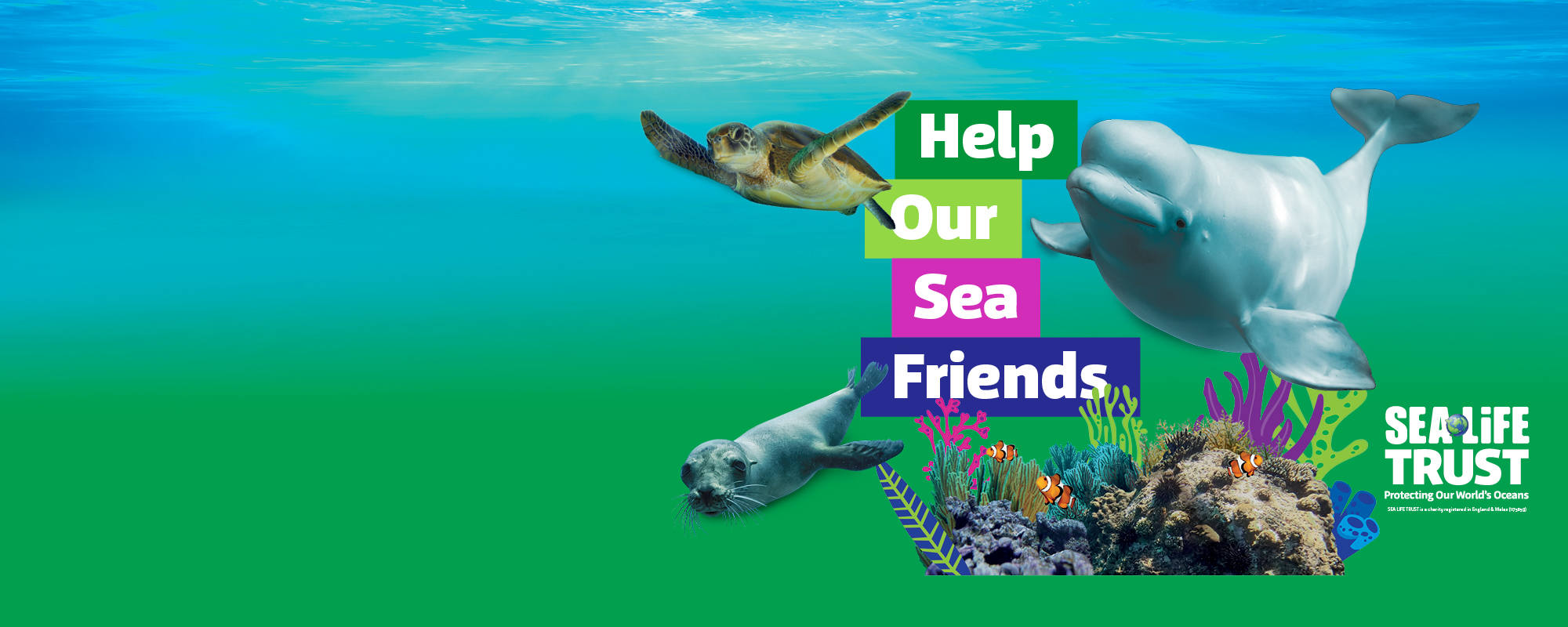 An Image with a blue to green gradient with a seal, turtle and beluga whale surrounding text that says Help Our Sea Friends