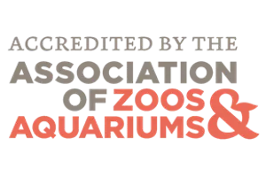 Association Of Zoos Aquariums | SEA LIFE Aquarium