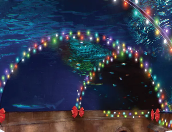 SEA LIFE Holidays Mobile Homepage Header 4 5