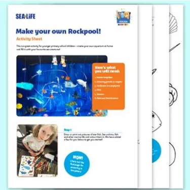 Make Your Own Aquarium Tile