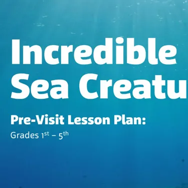 sea creatures pre