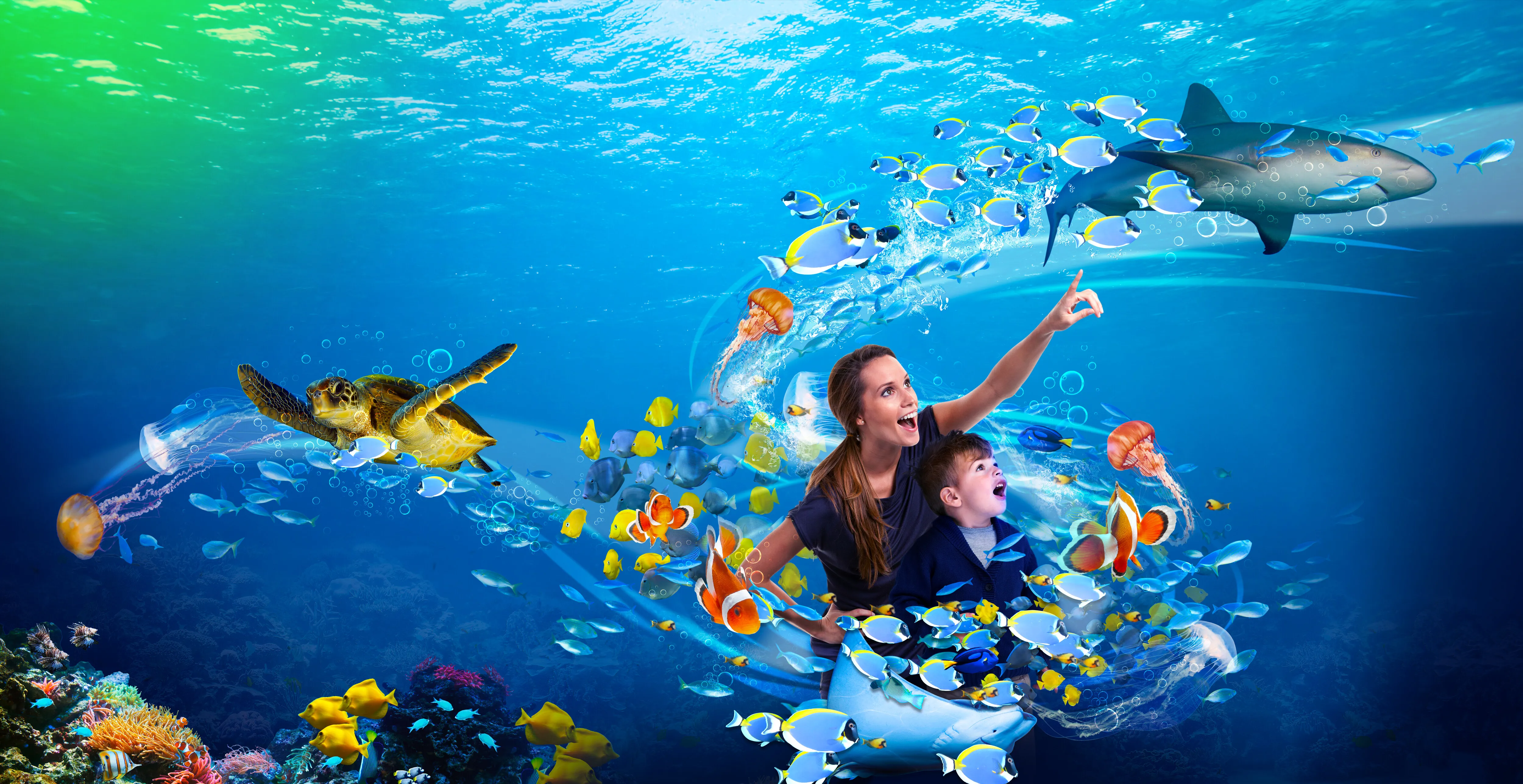 Pointing at a Shark Art Work | SEA LIFE Charlotte-Concord