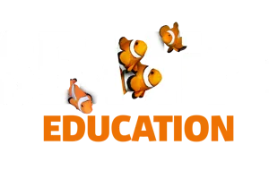11972 Sealife Education Logo NEW White Png