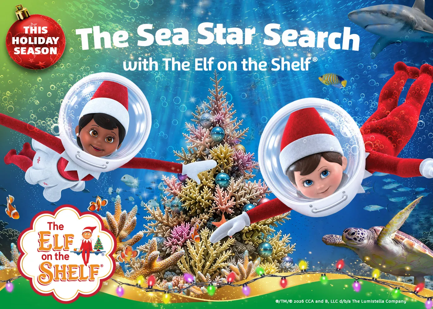 The Sea Star Search with The Elf on the Shelf - This Holiday Season