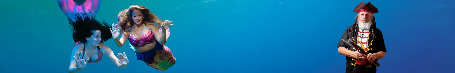 Banner (1)