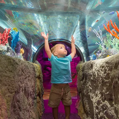 Toddler Tunnel 1200