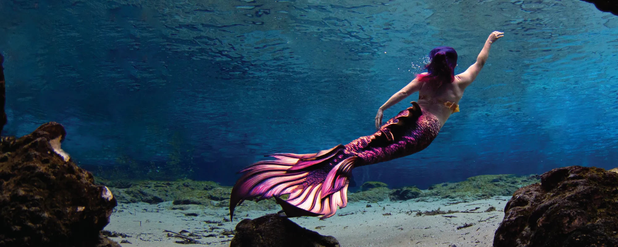 Mermaid Homepage 2000X800