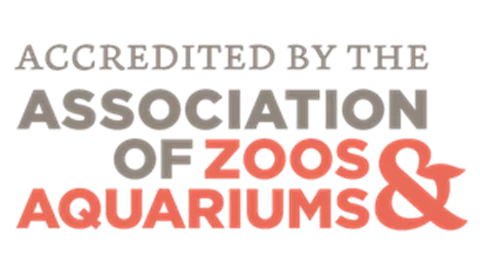 Association Of Zoos Aquariums