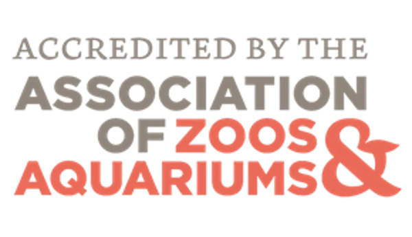 Association Of Zoos Aquariums
