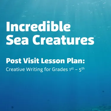 sea creatures post