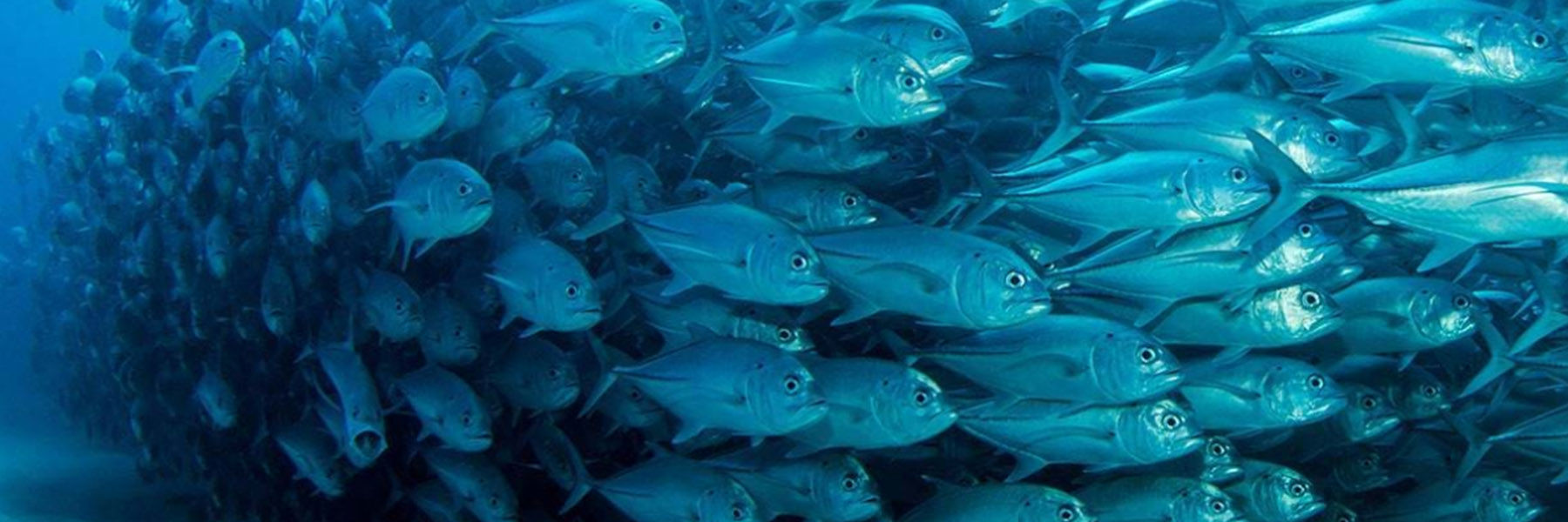 SEA LIFE Charlotte-Concord School Trips photo from the official site