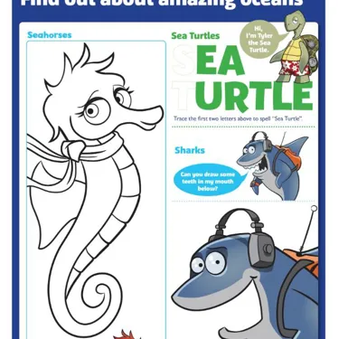 Amazing Oceans Website Tile (1)