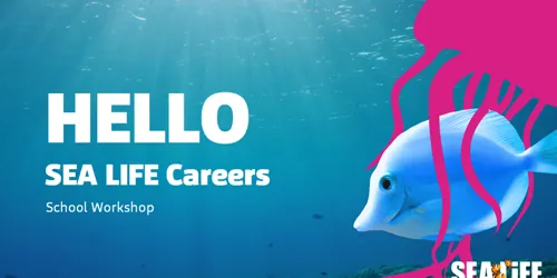 SEA LIFE careers