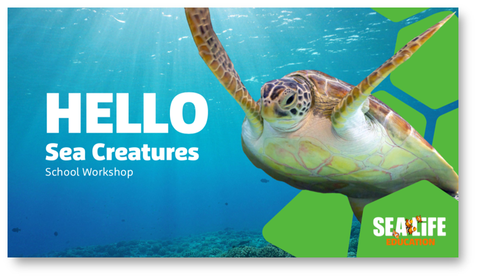 Sea Creatures Workshop Web Tile