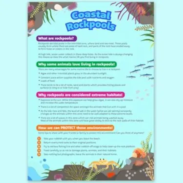 Classroom Poster Tile