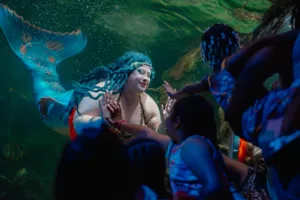 Mermaid 1