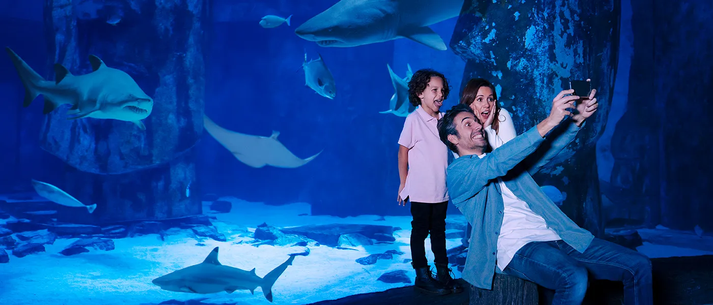 At SEA LIFE Charlotte, a family takes photos of colorful fish and sharks swimming in large underwater viewing tunnels inside the aquarium.