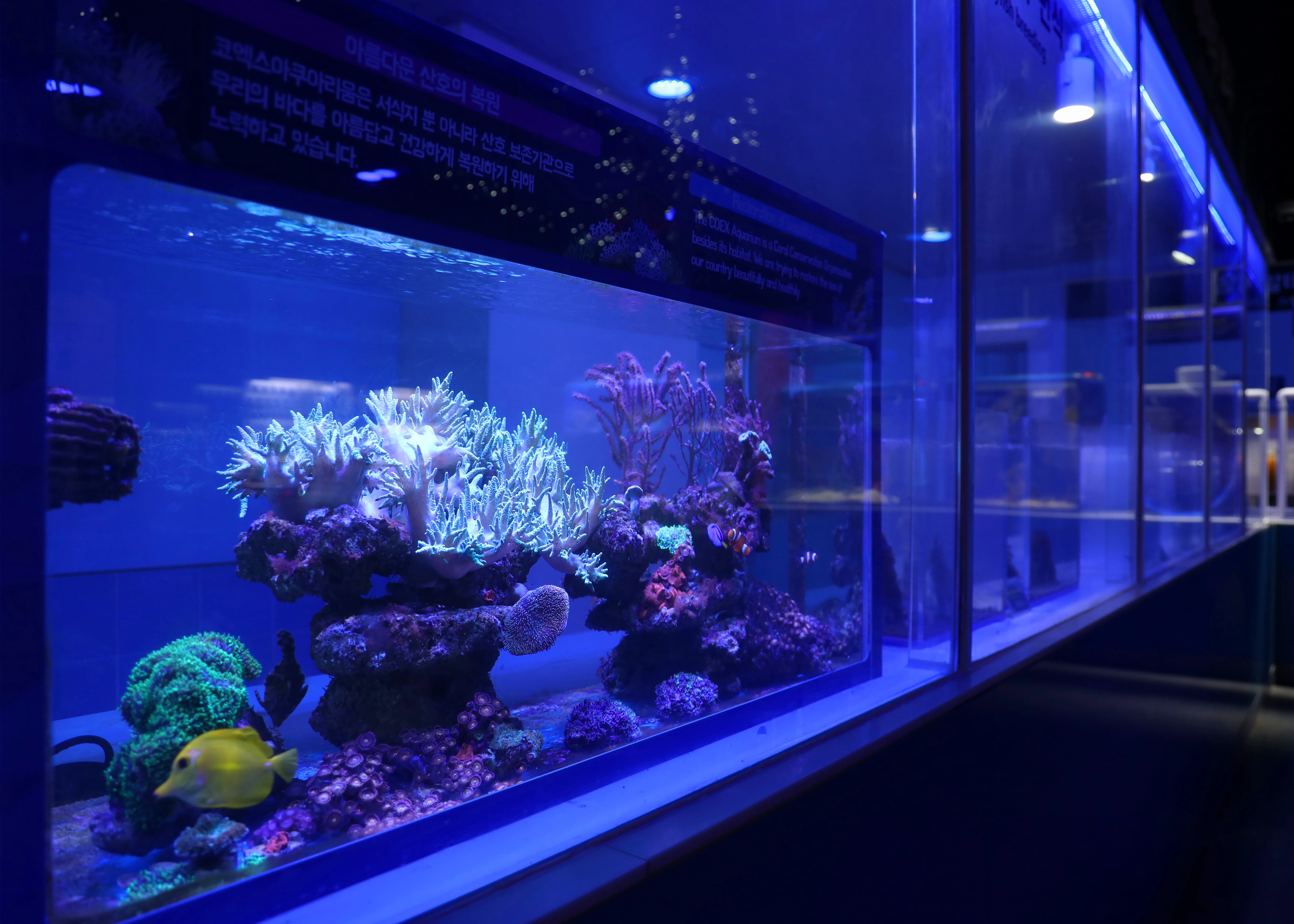 마린터치 연구소