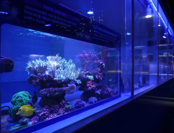 마린터치 연구소