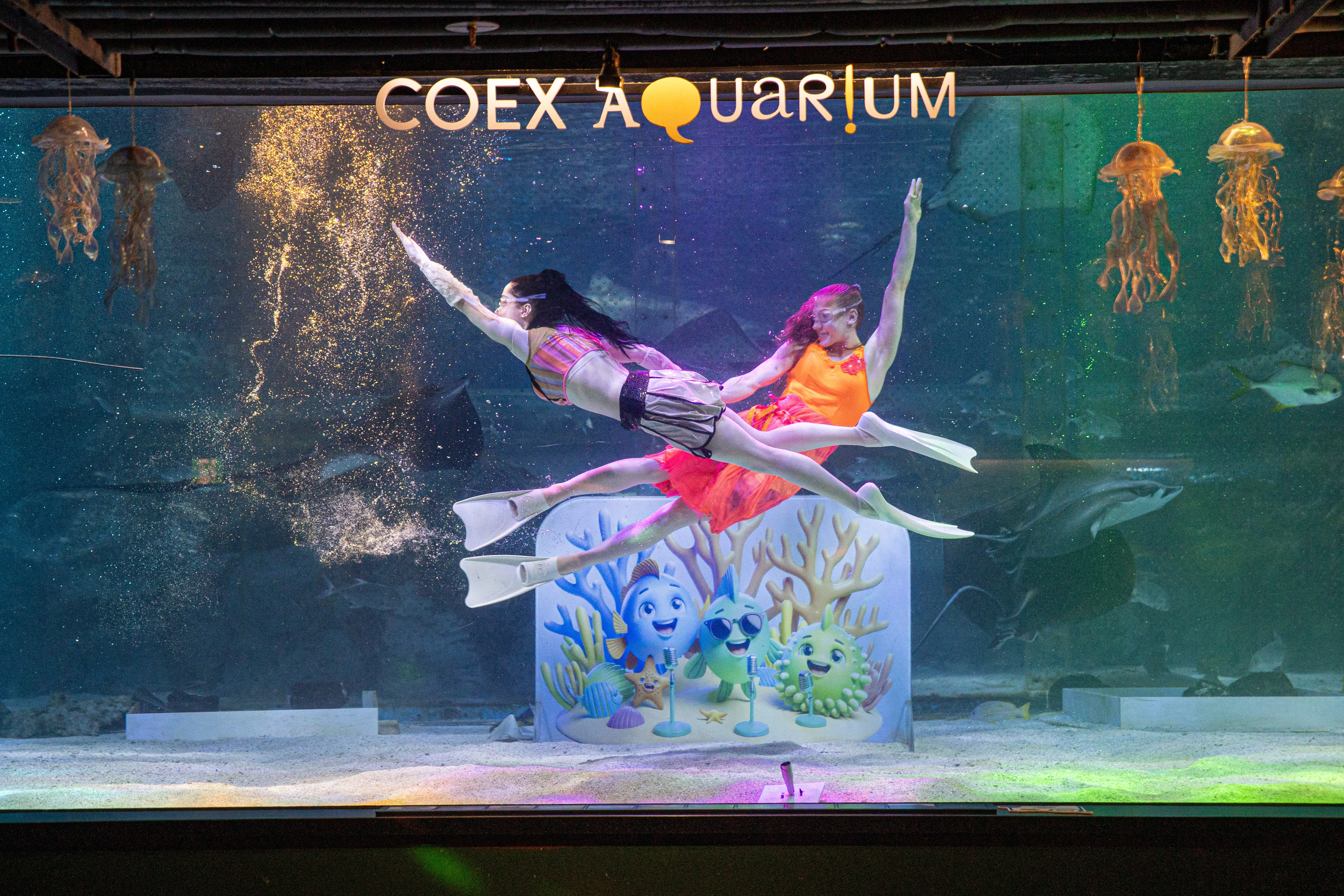 코엑스아쿠아리움198