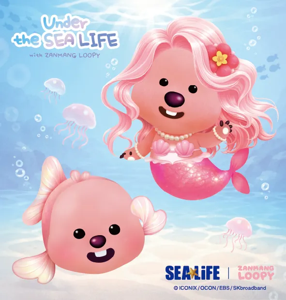 Kakaotalk 20260424 084943519